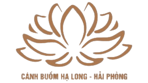 Cánh Buồm